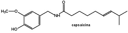 capsaicina